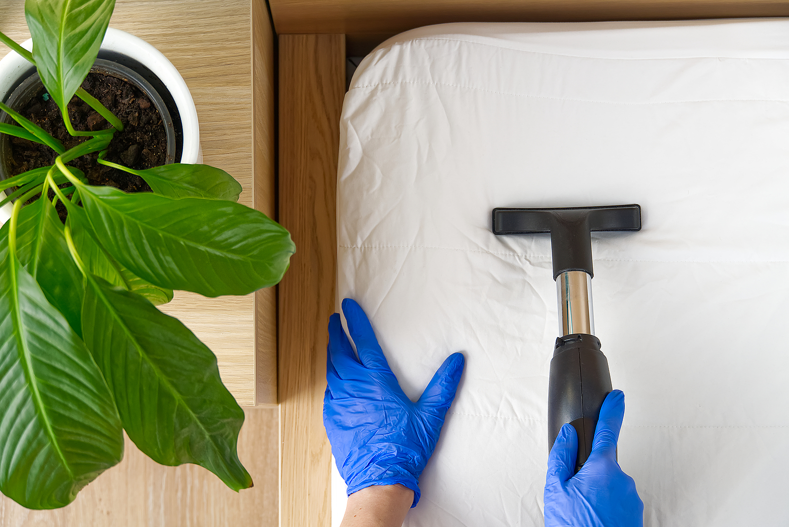 Hire house maid services in Carmel, IN.